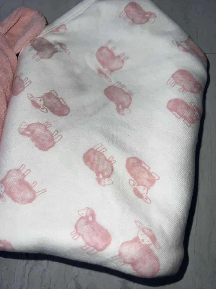 Baby 2-Pack Hooded Towels - Pink